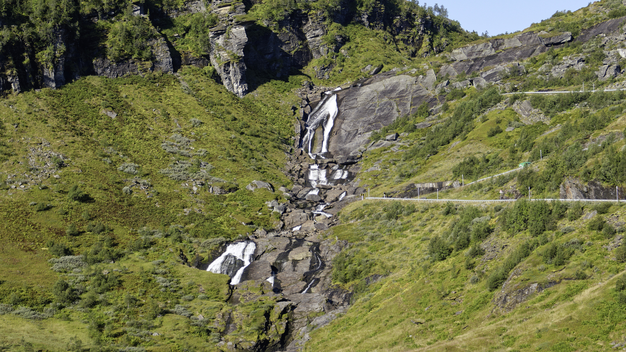 20260820 090558•••Vikøyri•Vestland•Norway (Alt 114.6 m )